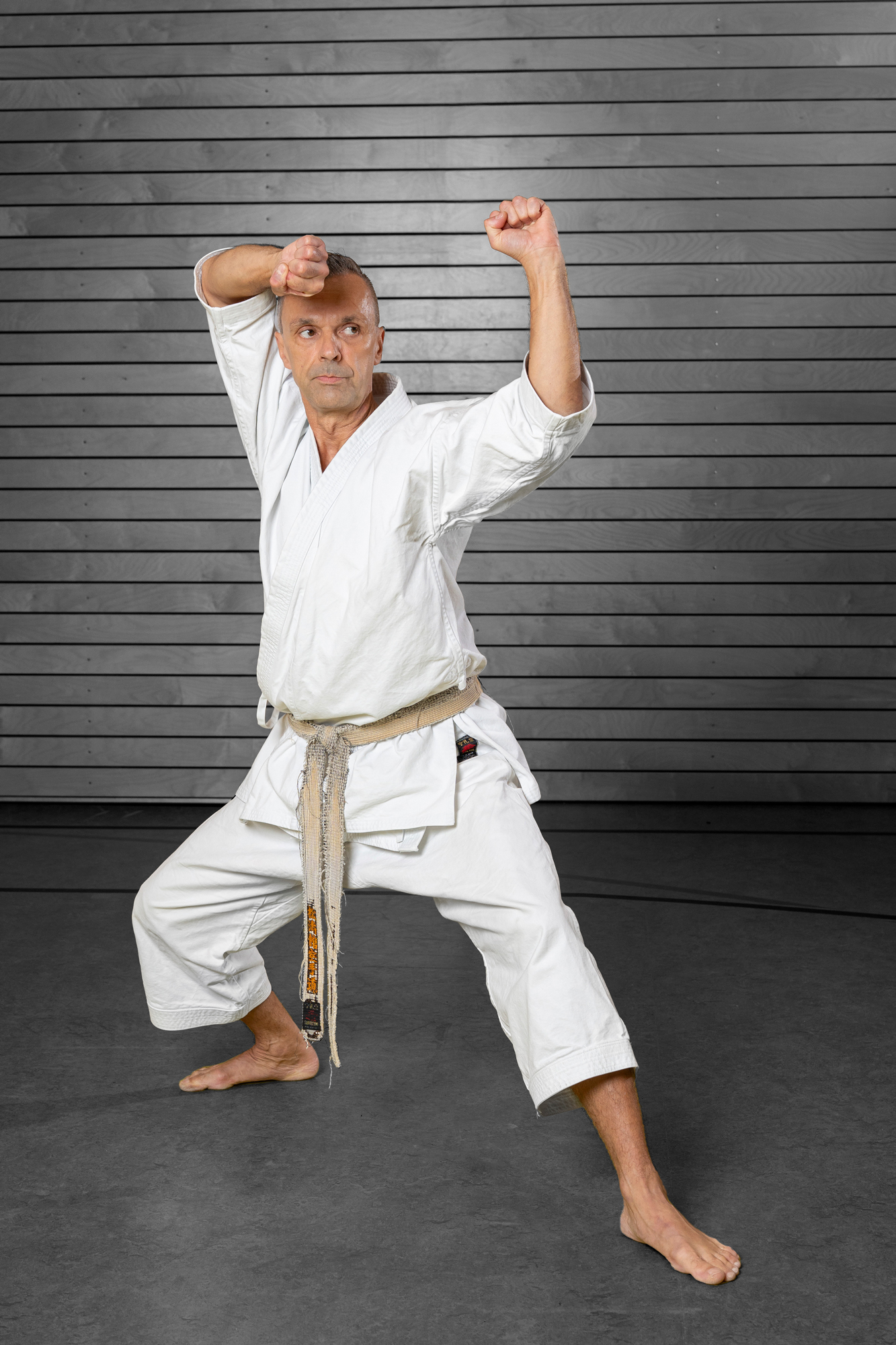 nintai karate boris 03 neu